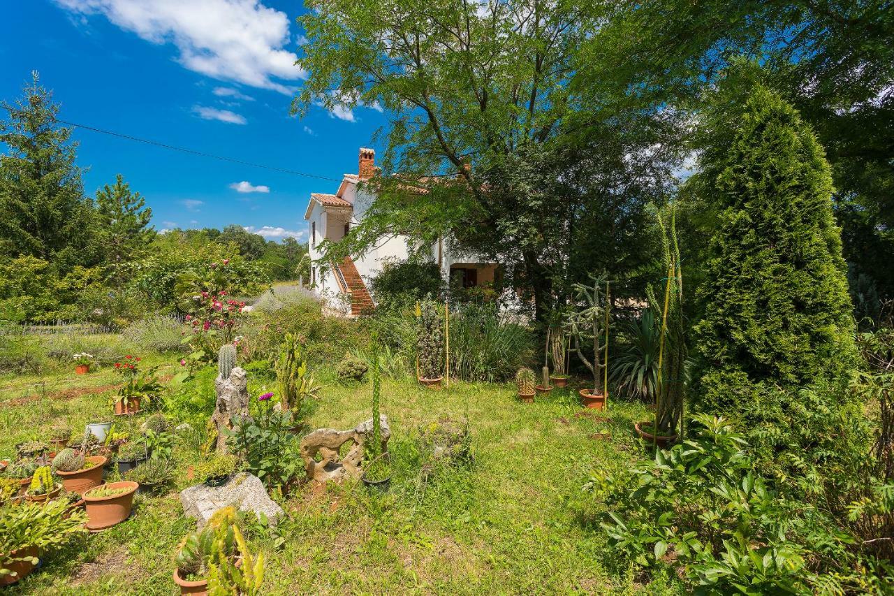 Apartments Valoda Nedeščina Bagian luar foto